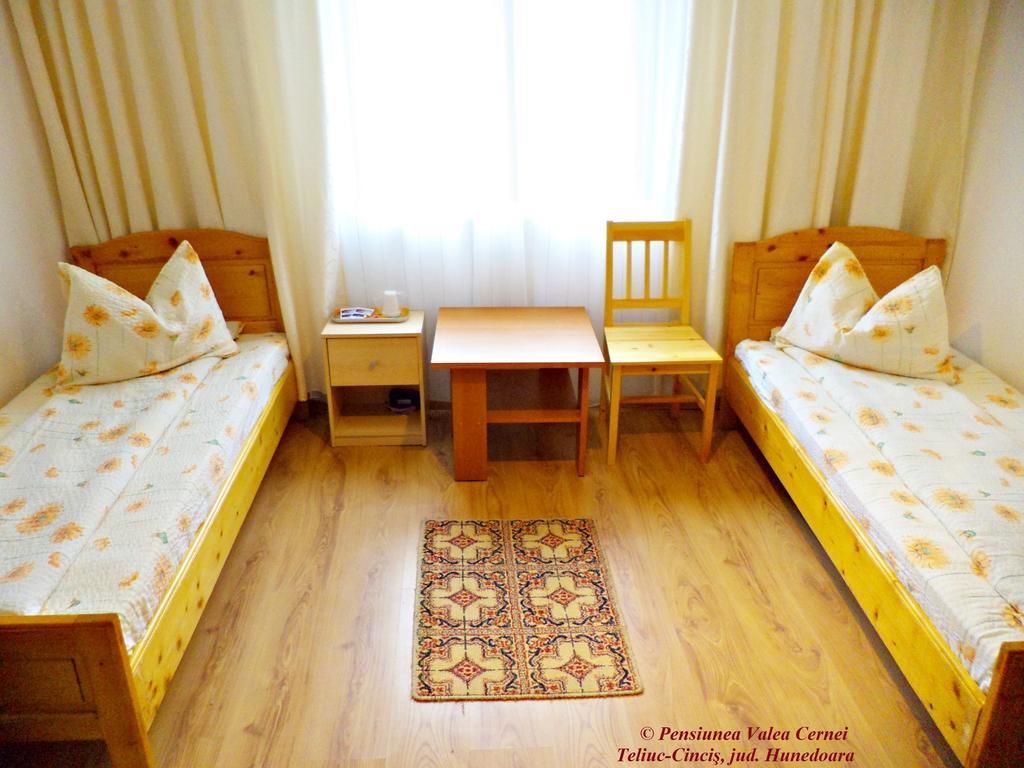 Pensiunea Valea Cernei Teliucu Inferior Zimmer foto