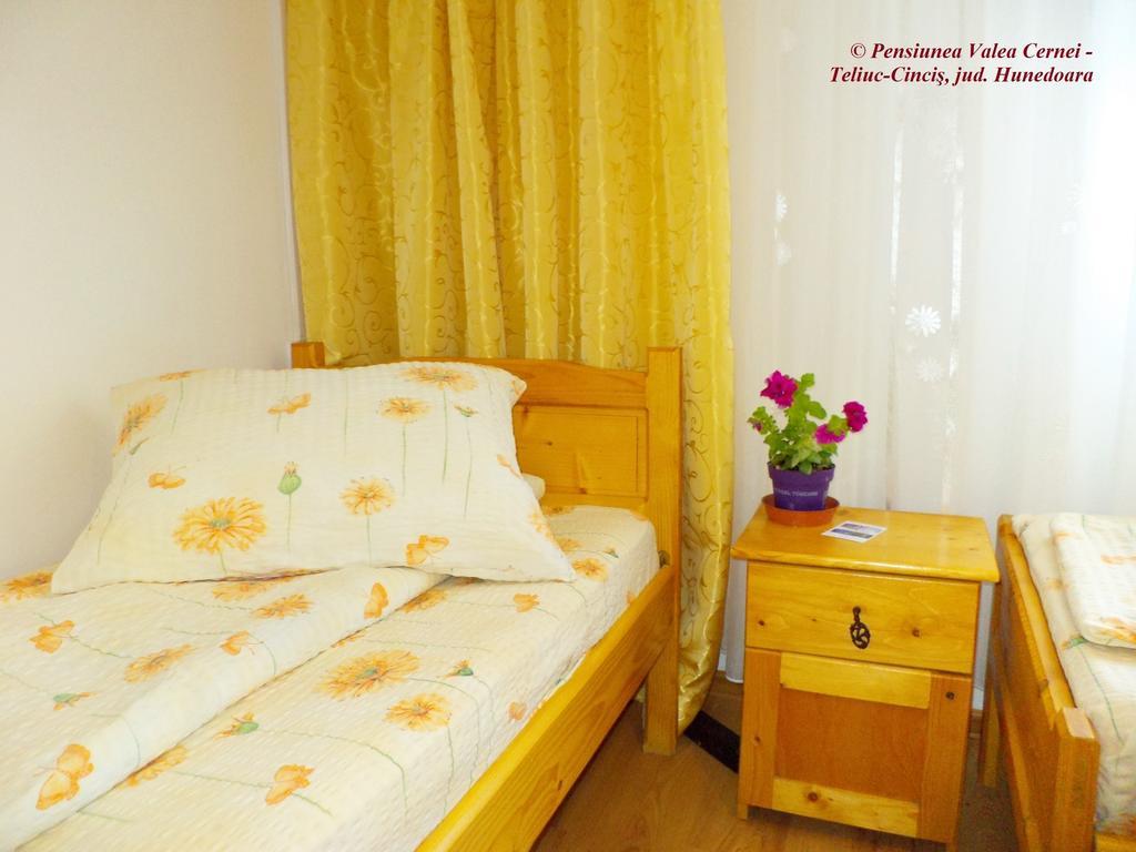 Pensiunea Valea Cernei Teliucu Inferior Zimmer foto