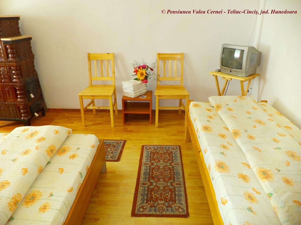 Pensiunea Valea Cernei Teliucu Inferior Zimmer foto