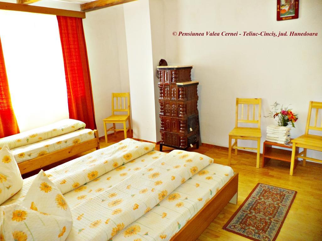 Pensiunea Valea Cernei Teliucu Inferior Zimmer foto