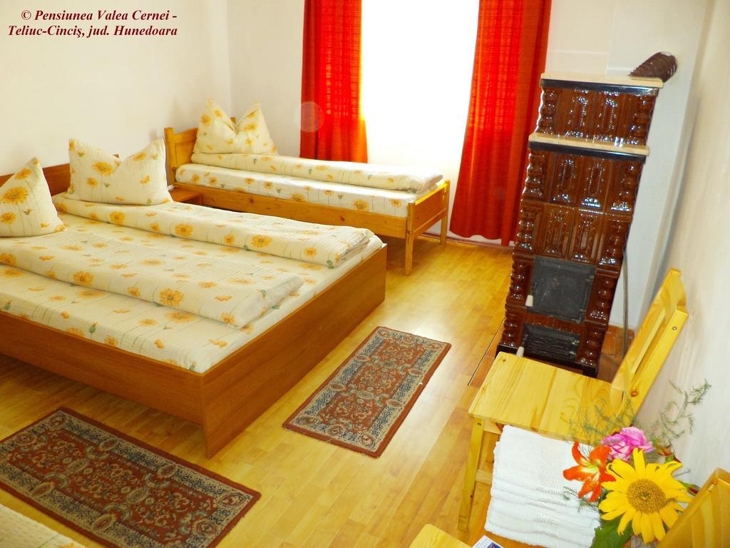 Pensiunea Valea Cernei Teliucu Inferior Zimmer foto