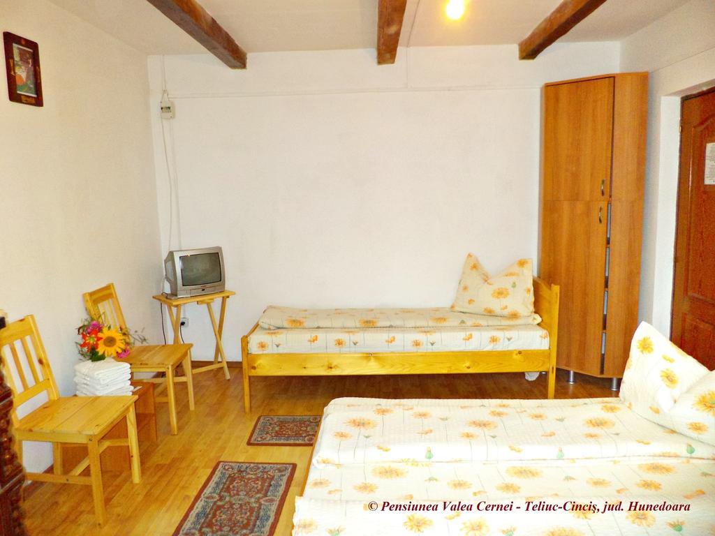Pensiunea Valea Cernei Teliucu Inferior Zimmer foto