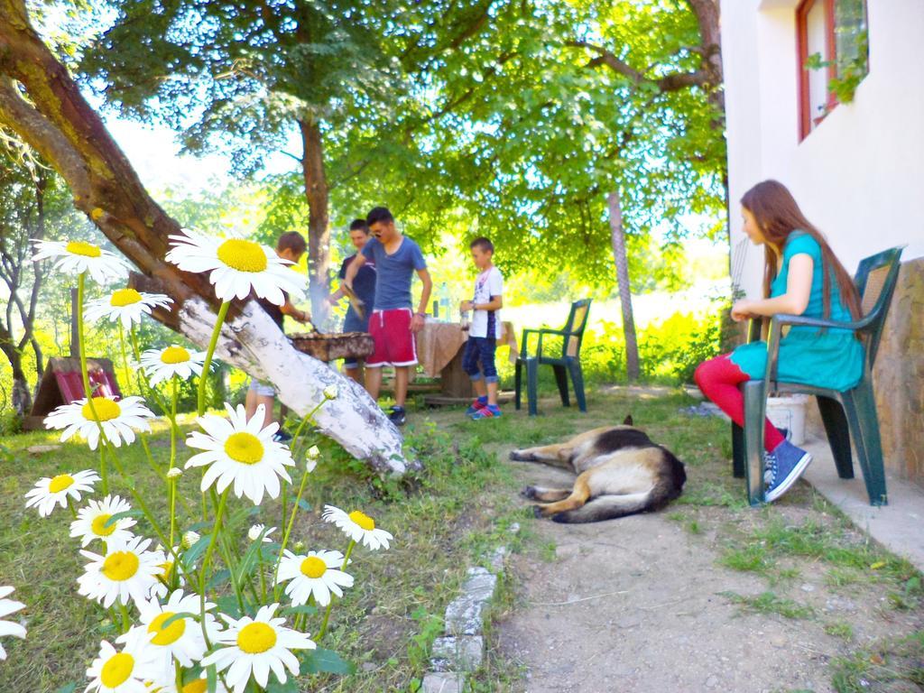 Pensiunea Valea Cernei Teliucu Inferior Exterior foto