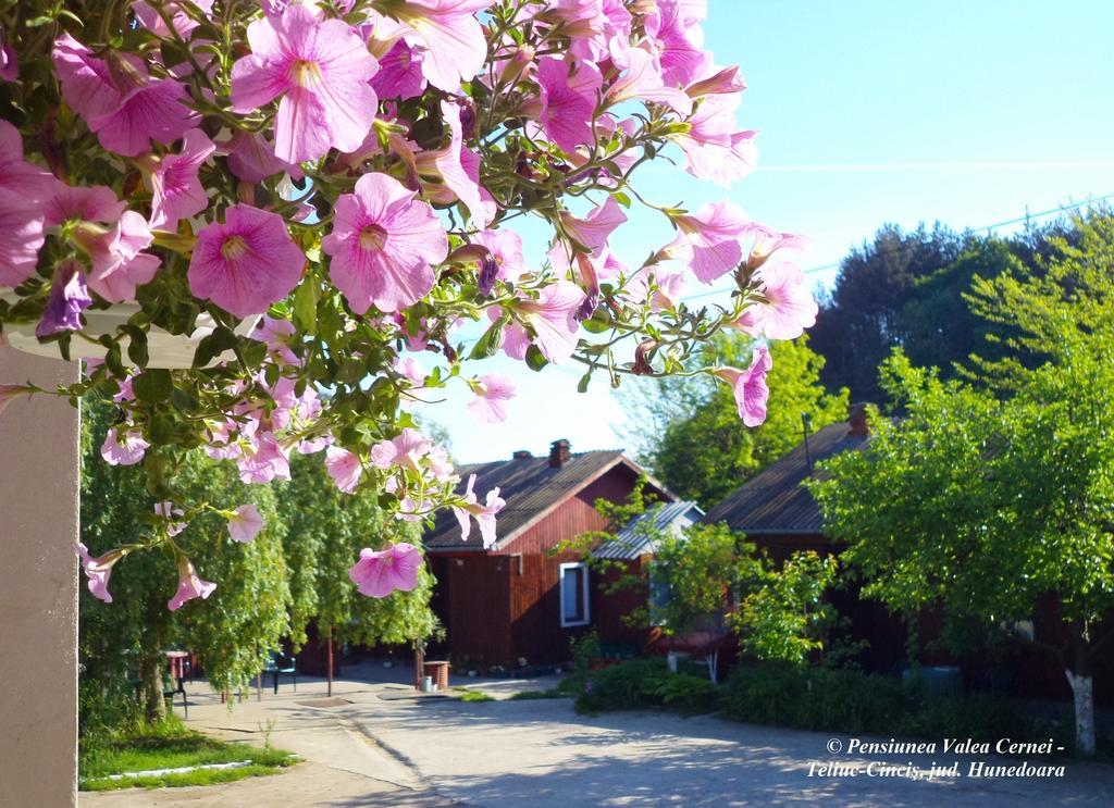 Pensiunea Valea Cernei Teliucu Inferior Exterior foto